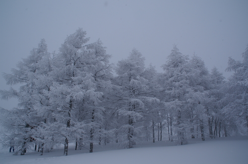 20060211_zaoskitrip_002